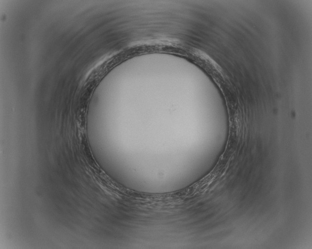 X0000075891064200609151020
