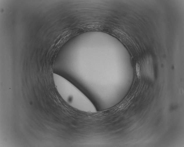 X0000075891107200609151019