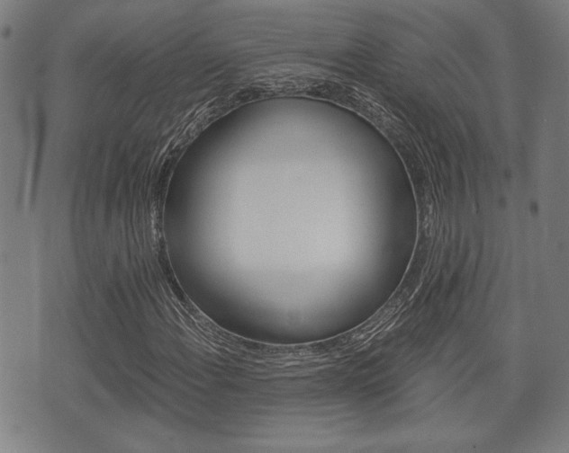 X0000075891108200609151019