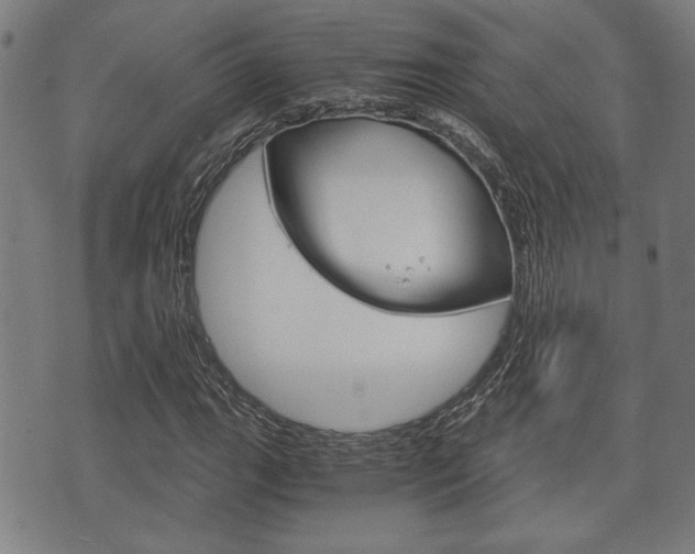 X0000075891111200609151019