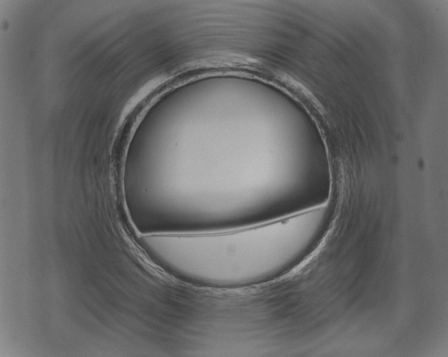 X0000075891114200609151019