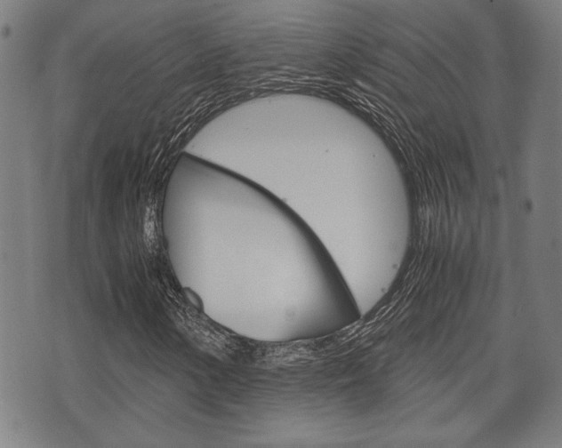 X0000075891154200609151019