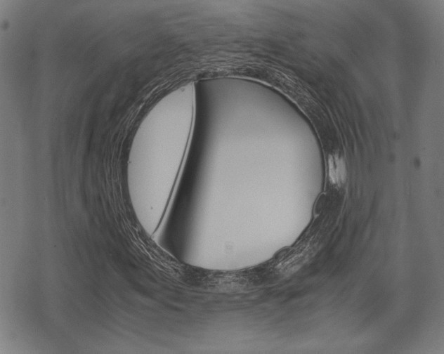 X0000075891155200609151019