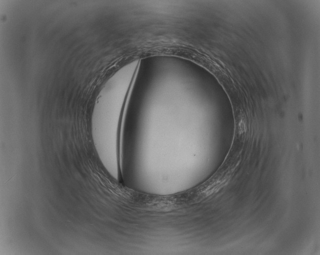 X0000075891156200609151019