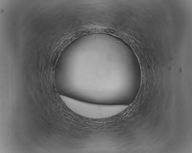 X0000075891157200609151019