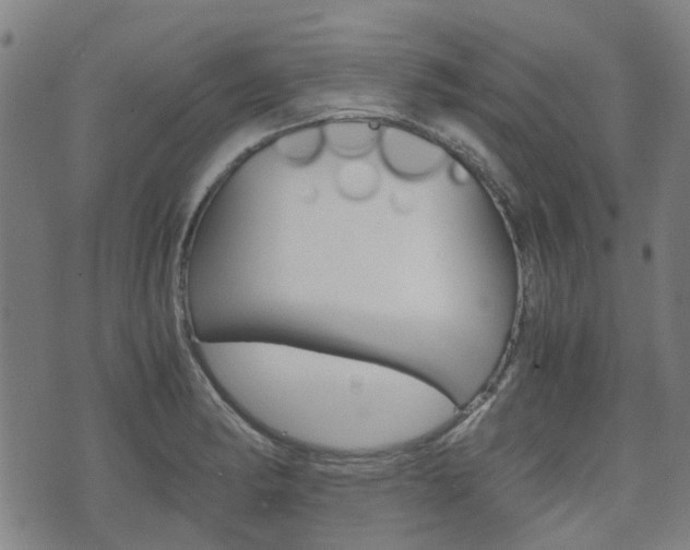 X0000075891182200609151019
