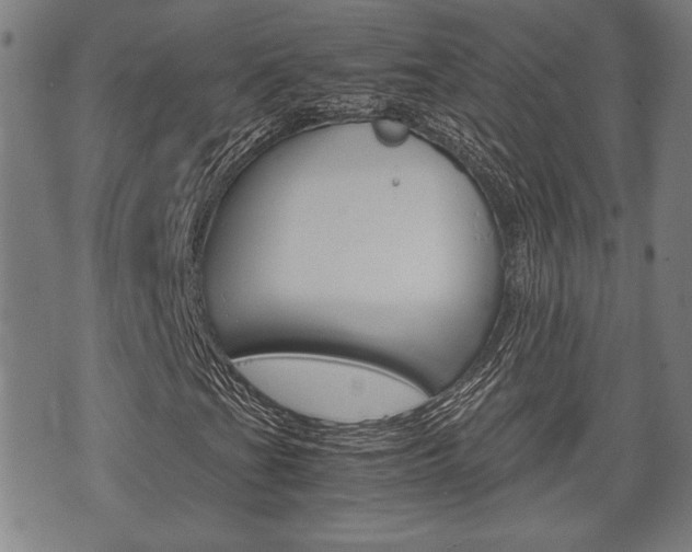 X0000075891201200609151017