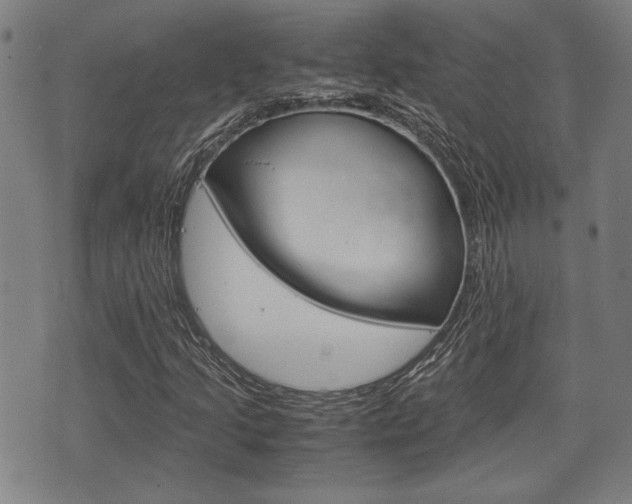 X0000075891205200609151017