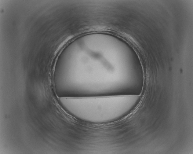 X0000075891212200609151018
