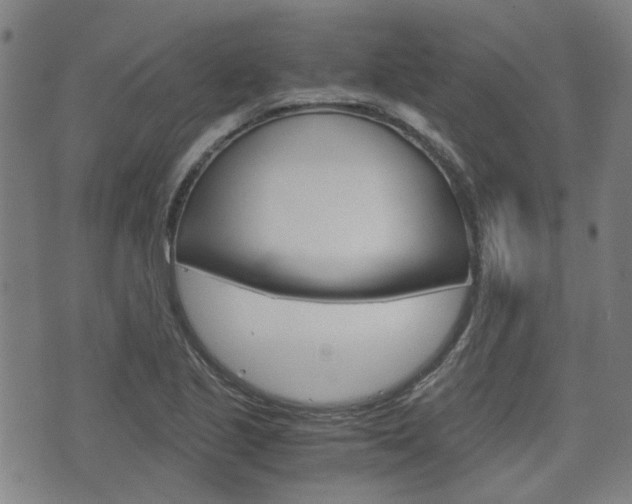 X0000075891221200609151018