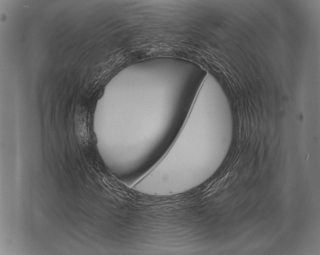 X0000075891250200609151017