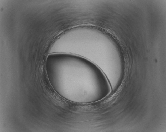 X0000075891257200609151017