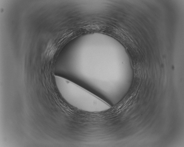 X0000075891297200609151016