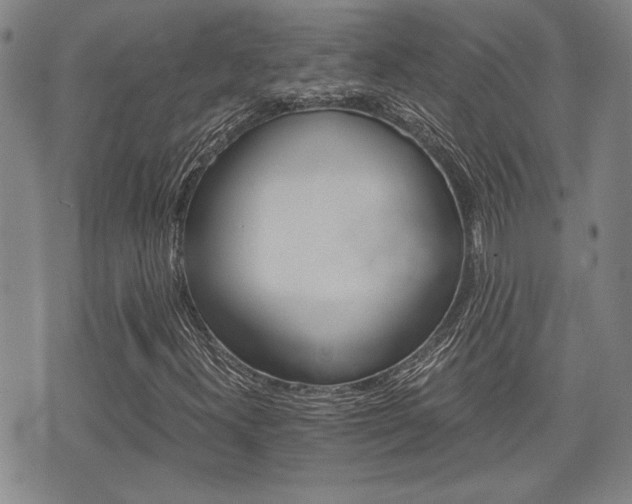X0000075891300200609151016
