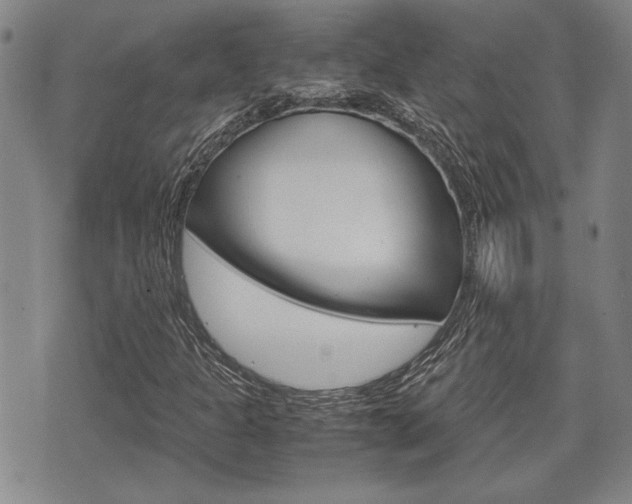 X0000075891301200609151016