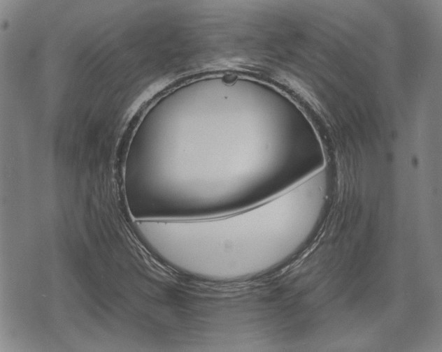 X0000075891308200609151016