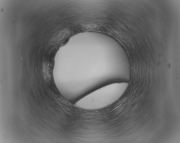 X0000075891346200609151016