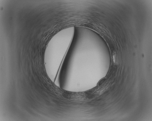 X0000075891347200609151016