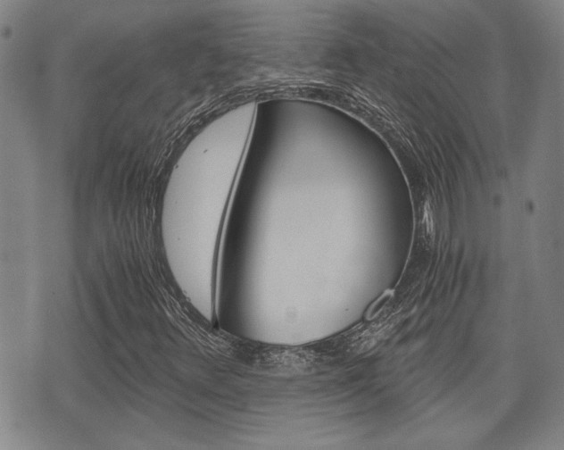 X0000075891348200609151016