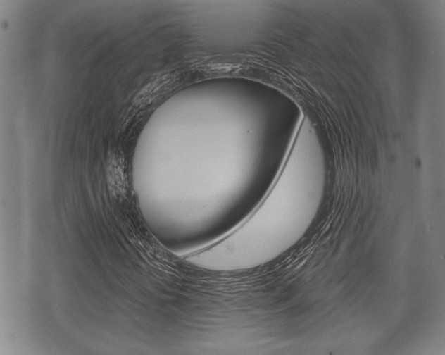 X0000075891394200609151014