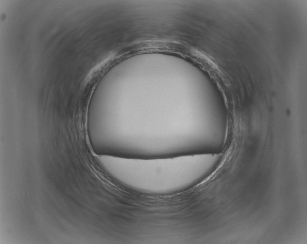 X0000075891403200609151014