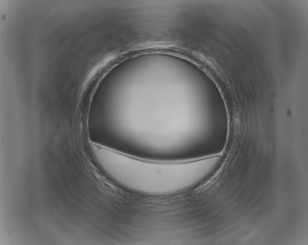 X0000075891406200609151015
