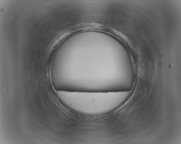 X0000075891407200609151015
