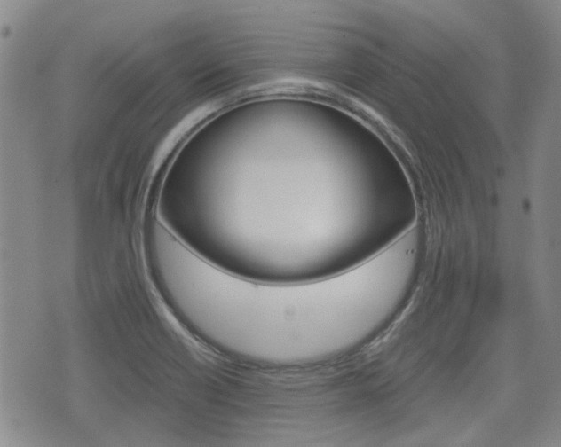 X0000075891418200609151015