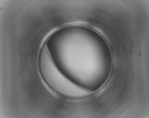X0000075891426200609151015