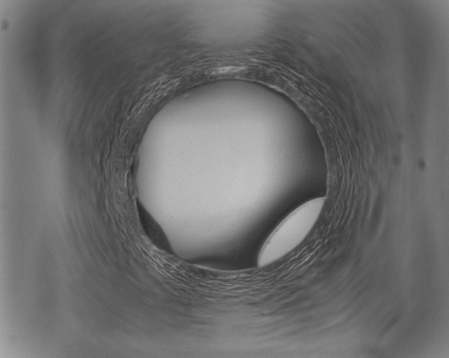 X0000075891441200609151014