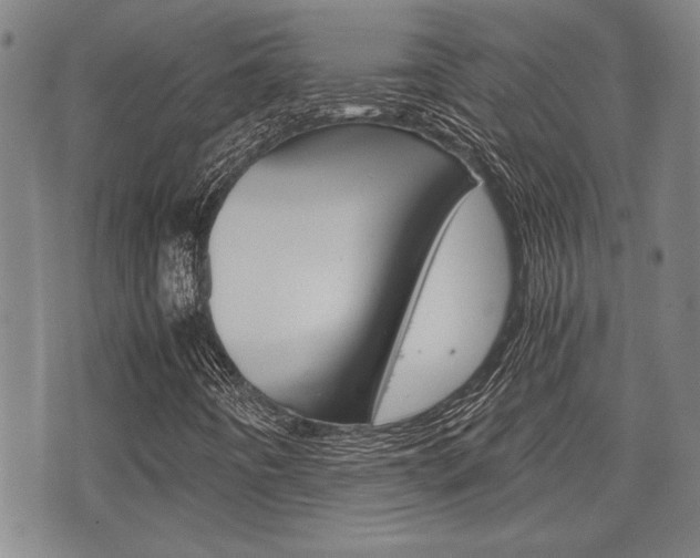 X0000075891442200609151014