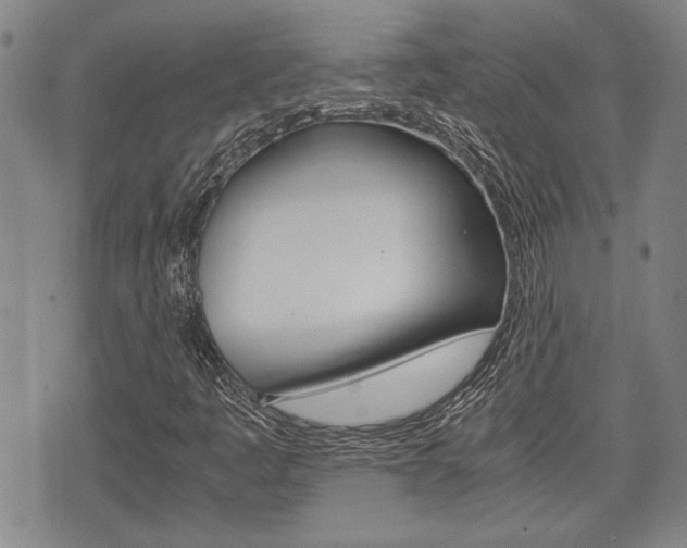 X0000075891445200609151014