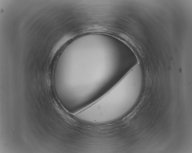 X0000075891458200609151014
