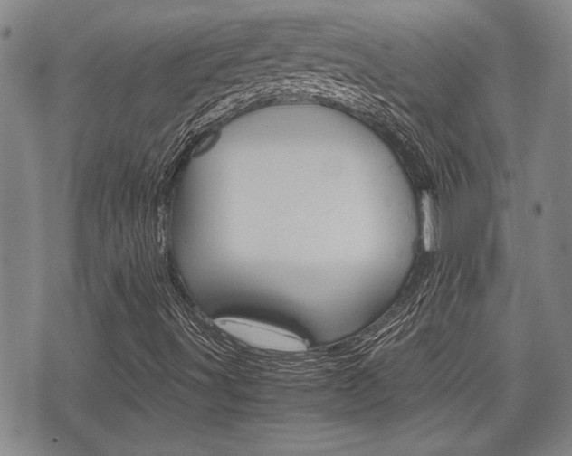 X0000075891491200609151013