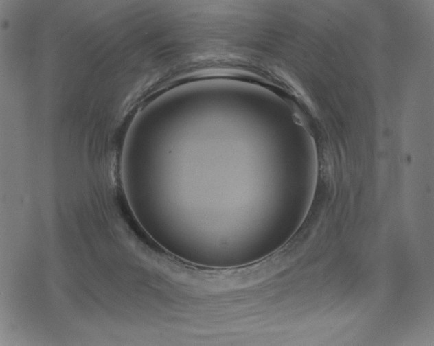X0000075890023200609151357