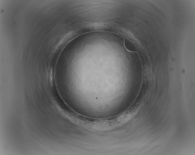 X0000075890024200609151357