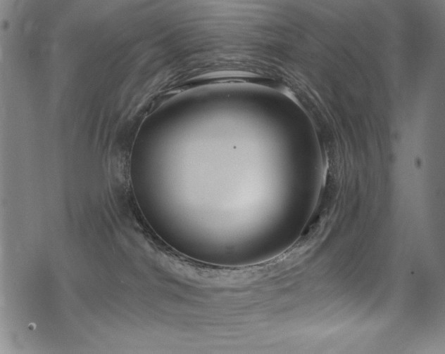X0000075890044200609151357