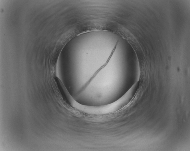 X0000075890045200609151357