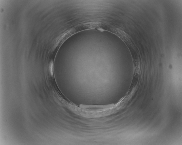 X0000075890047200609151357