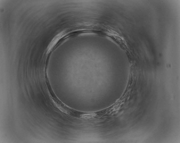 X0000075890051200609151356