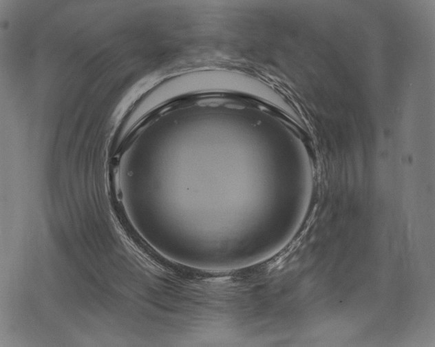 X0000075890054200609151356