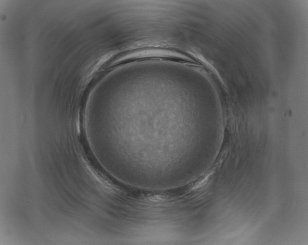 X0000075890062200609151356