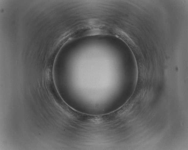 X0000075890071200609151356