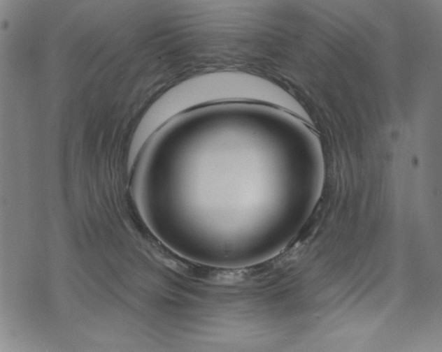 X0000075890084200609151357