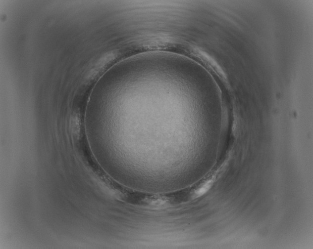 X0000075890113200609151356