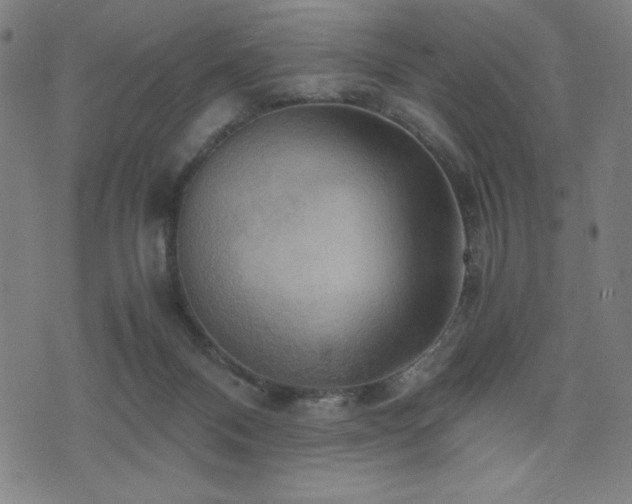 X0000075890120200609151356