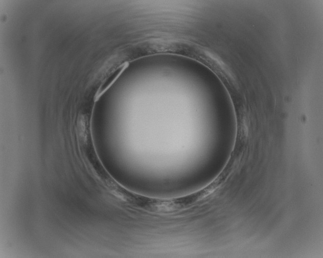 X0000075890121200609151356