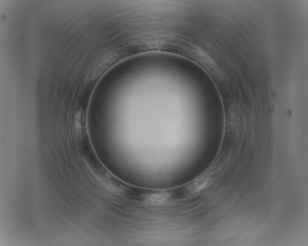 X0000075890122200609151356