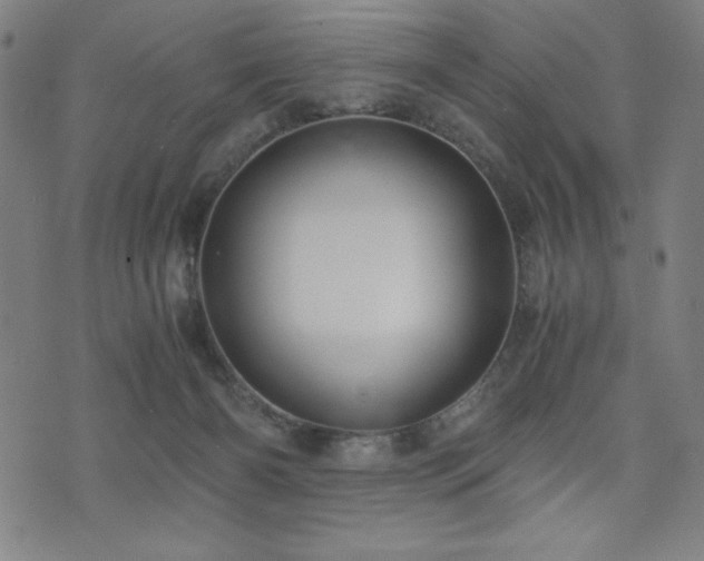 X0000075890126200609151356