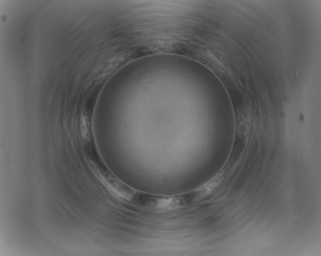 X0000075890130200609151356